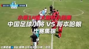 心脏除颤器与足球运动的碰撞：医学挑战与体育禁忌